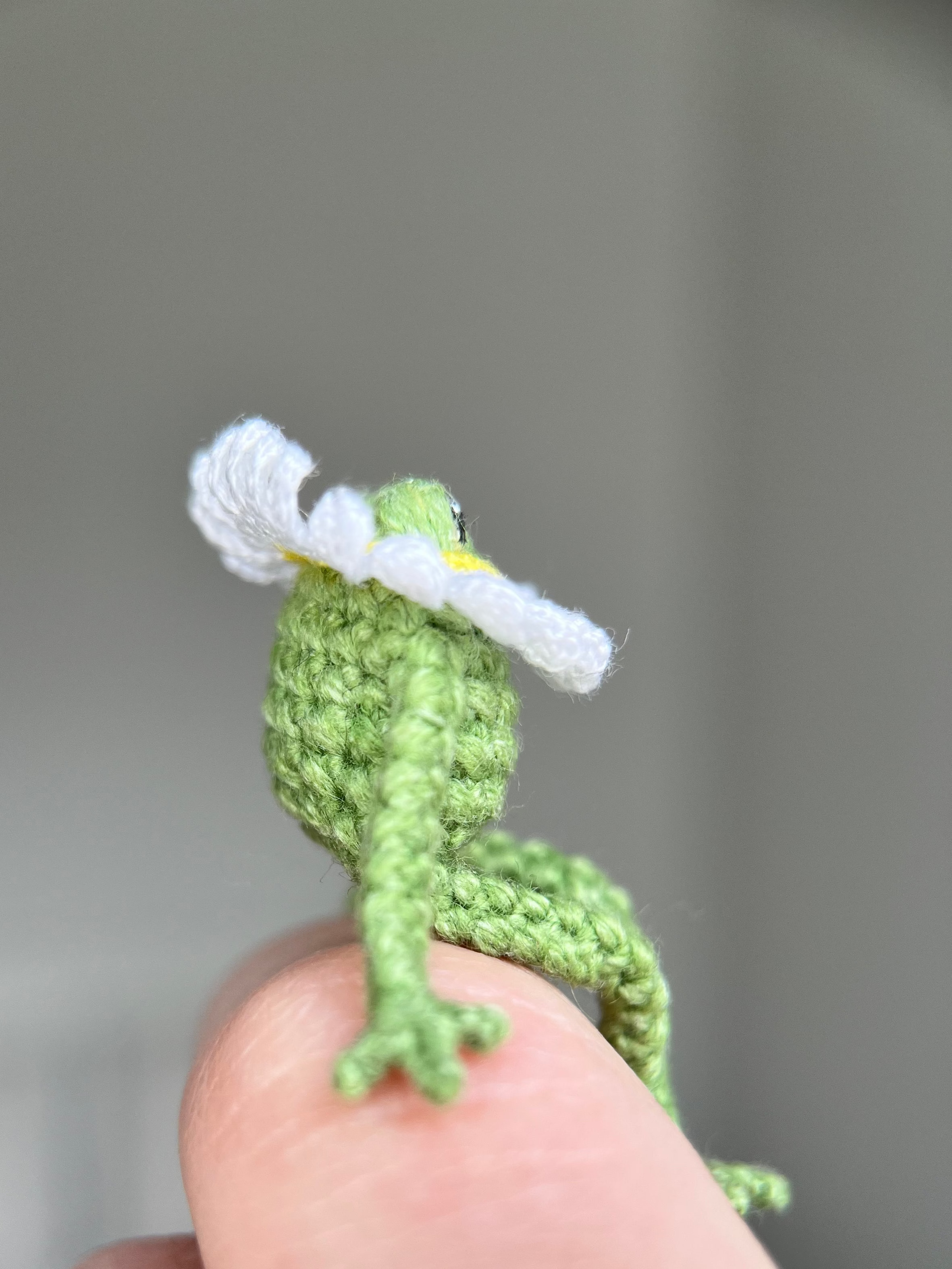 Mini crochet frog with a daisy collar