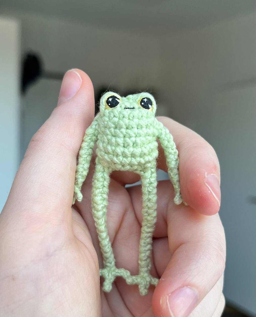 Small light green frog