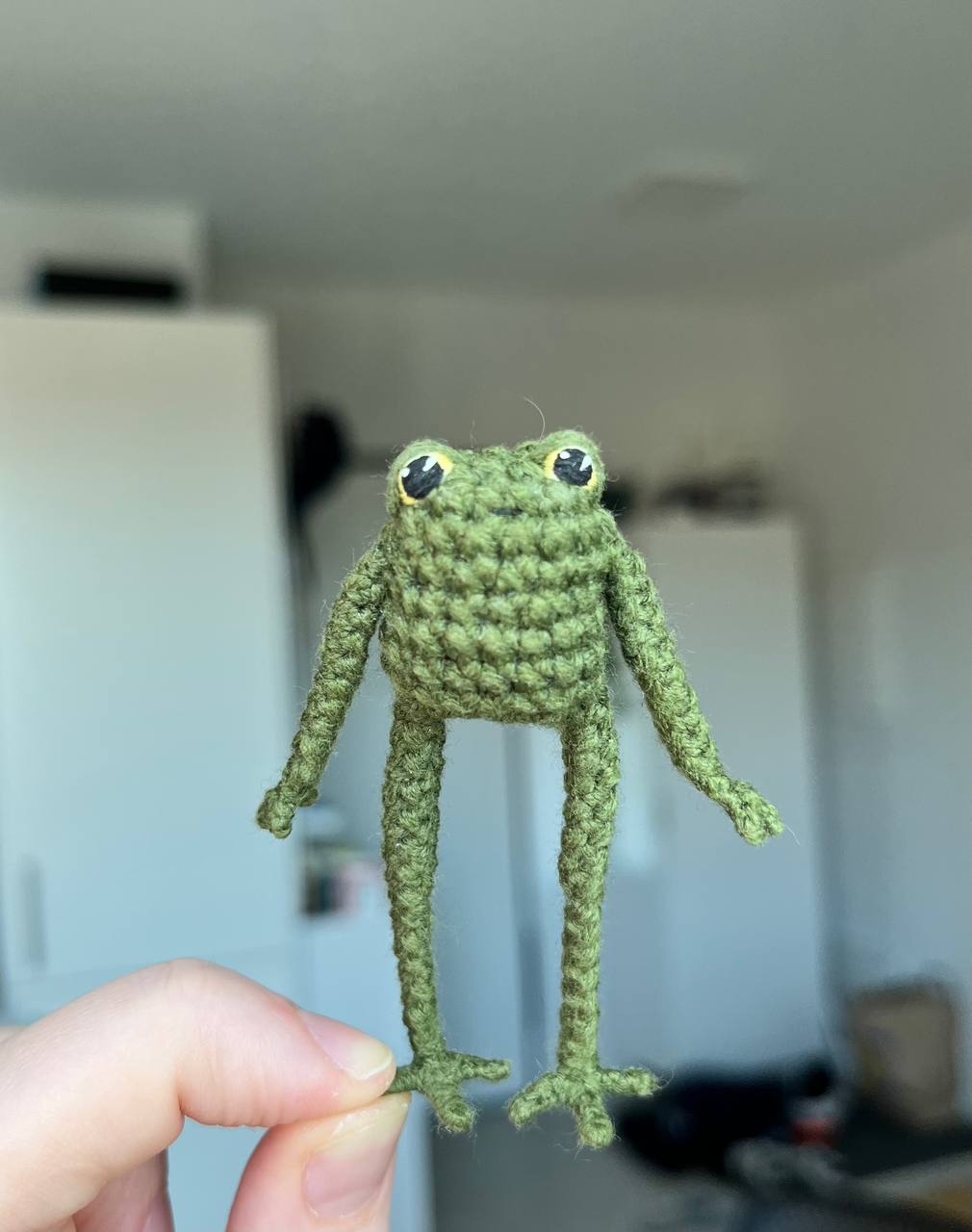 Small dark green frog