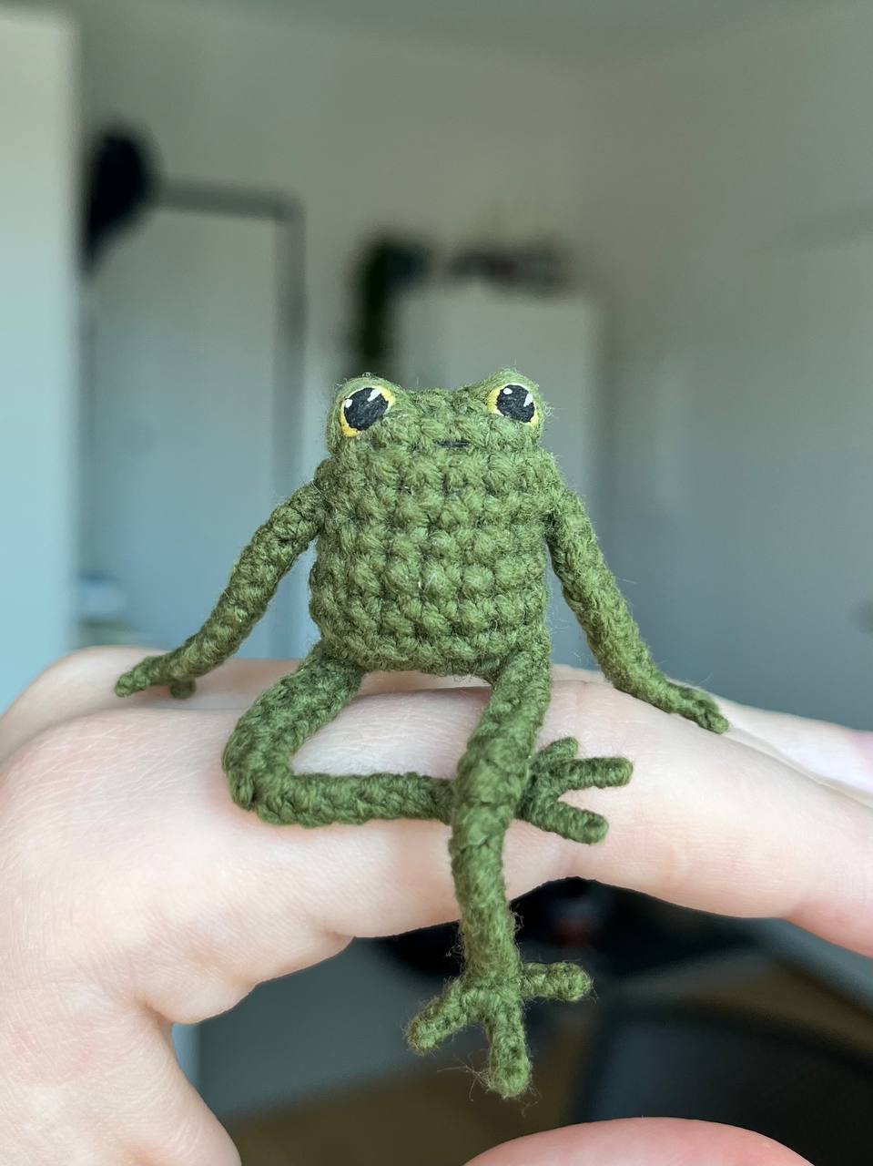 Small dark green frog