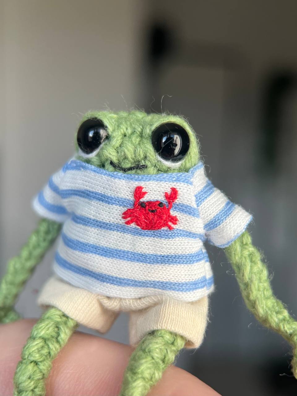 Small frog in a crab outfit
