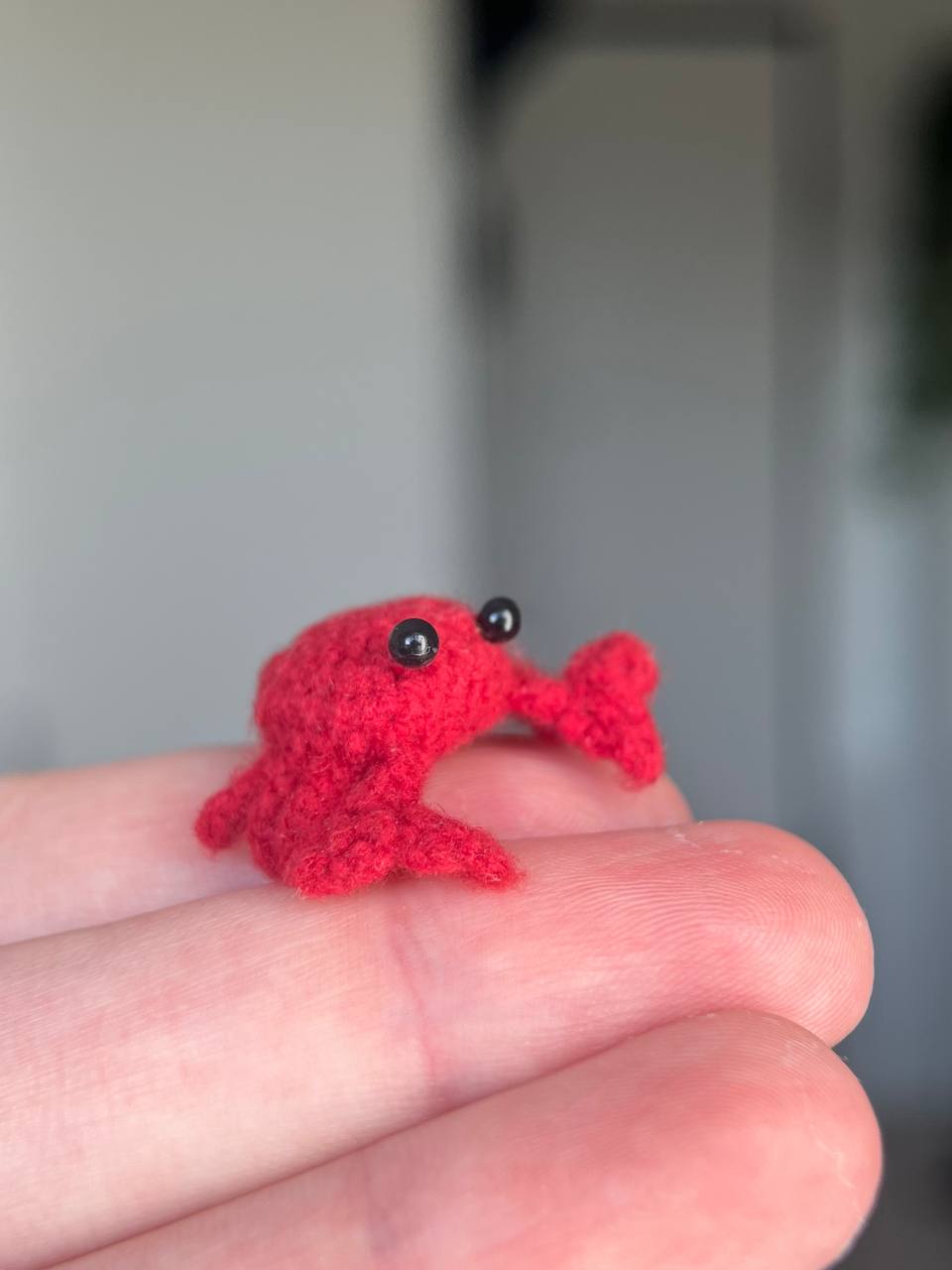 Small frog in a crab outfit