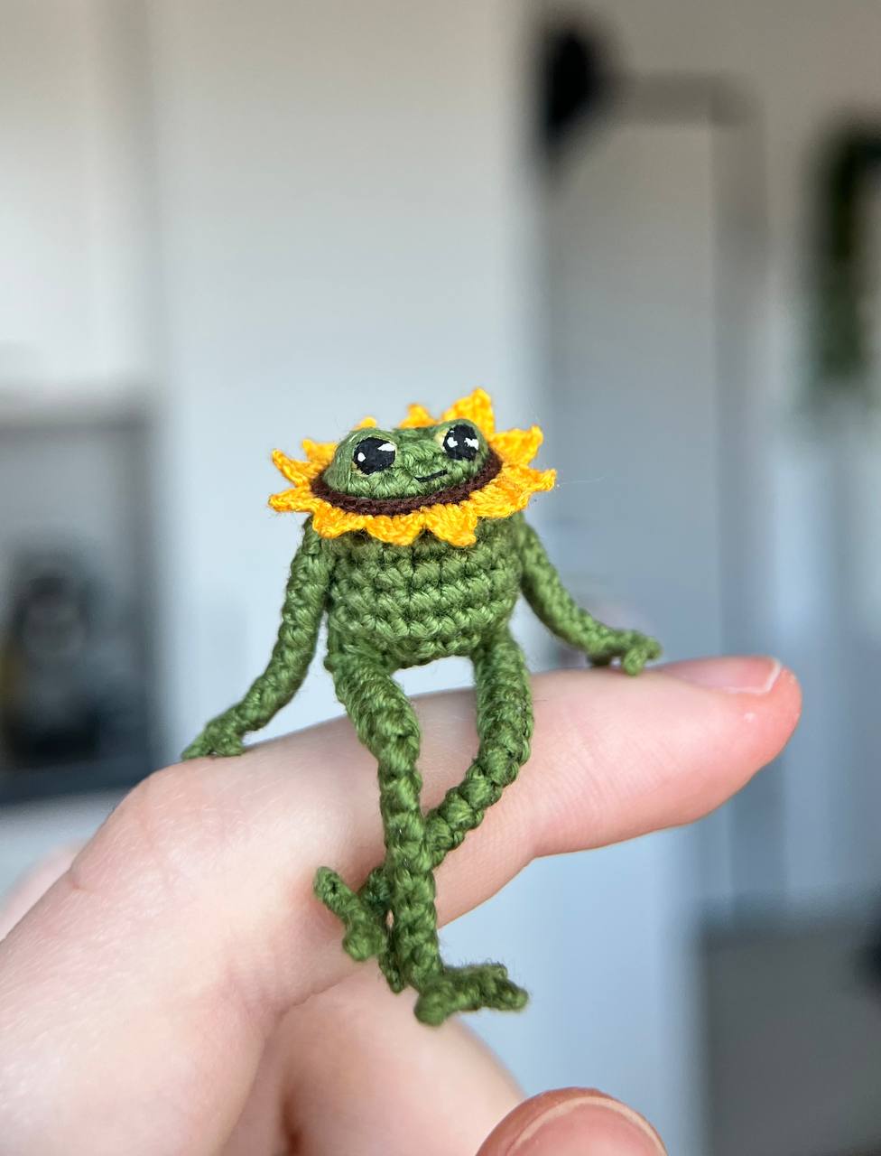 Mini frog with a sunflower collar