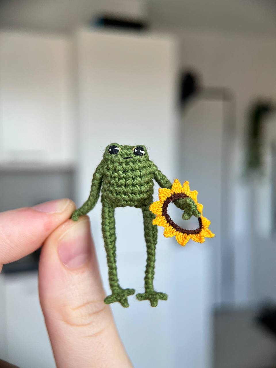 Mini frog with a sunflower collar
